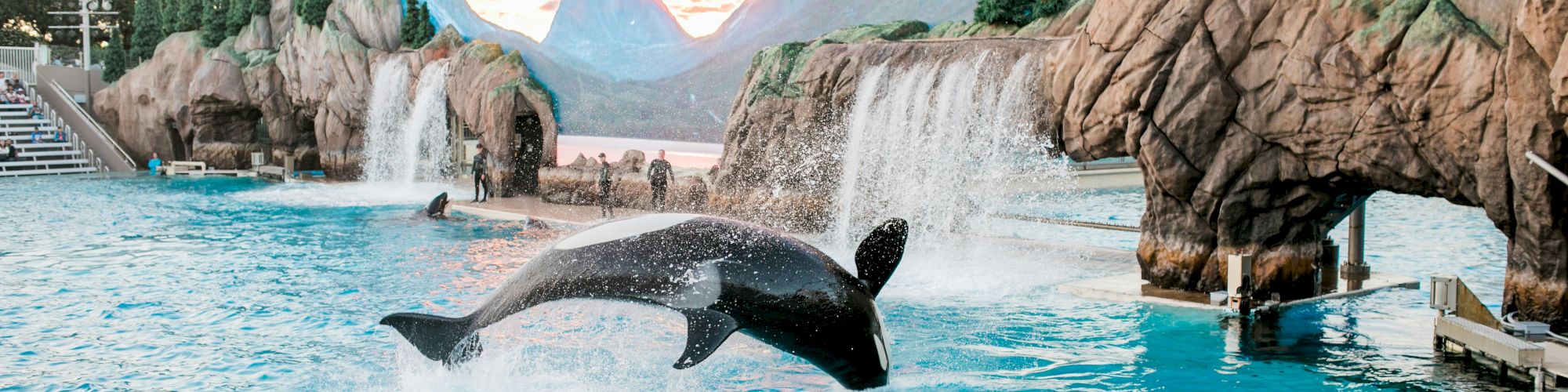 An orca whale performs a jump in a large pool at a marine park with a scenic, mountainous background and a waterfall feature in the exhibit.